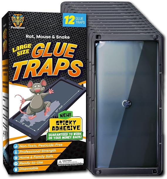 PESTQUEST Glue Traps 12pk