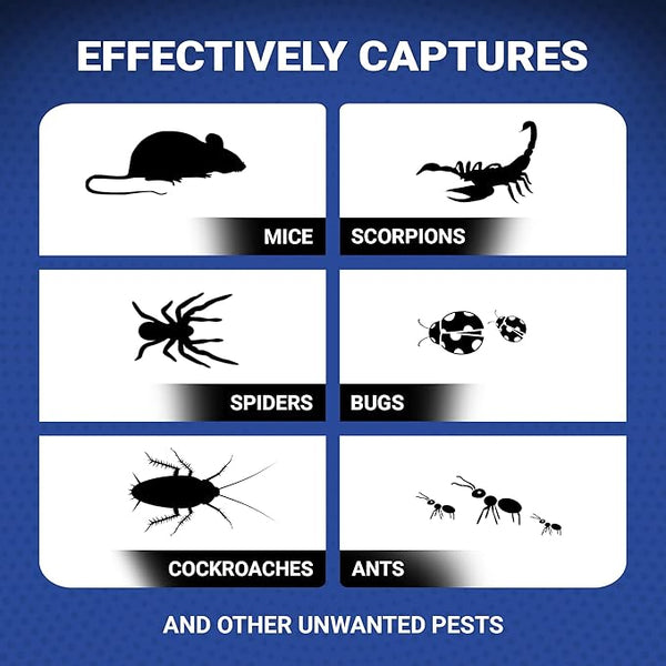 Mouse & Insect Glue Boards