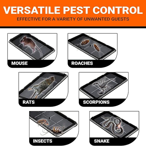 Heavy Duty Small Glue Traps