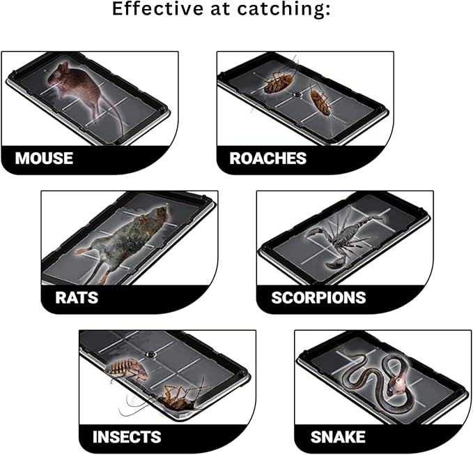 Large Heavy Duty Glue Traps