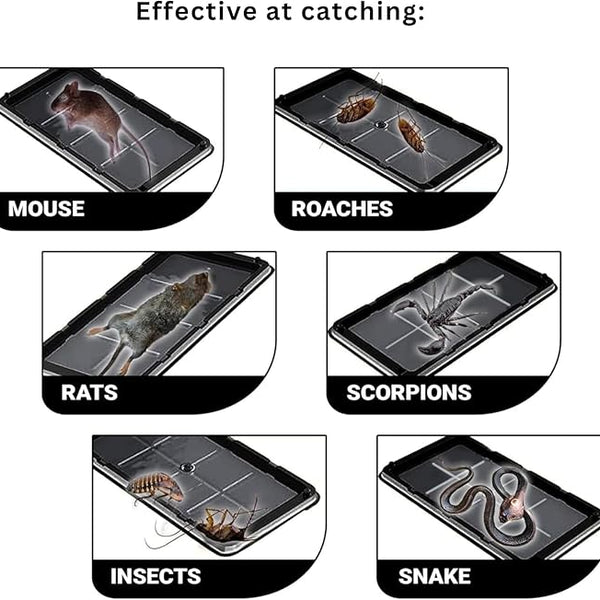 Large Heavy Duty Glue Traps